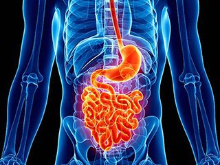 Gastrointestinal Surgery Gastrointestinal Surgery