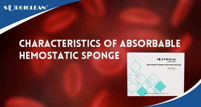 Characteristics Of Absorbable Hemostatic Sponge